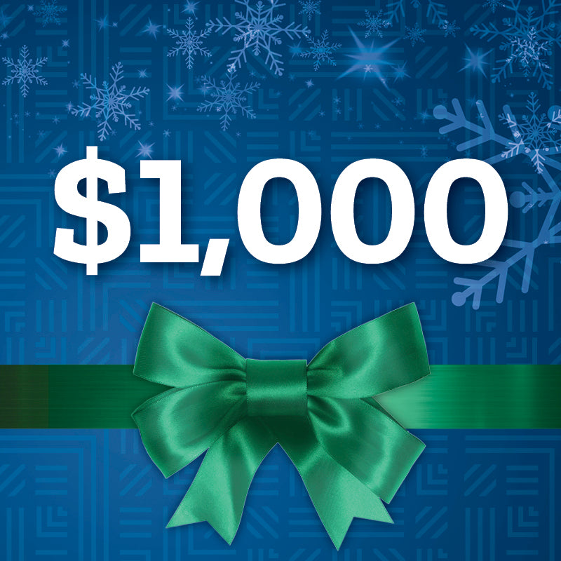 $1000 - Mentor Training