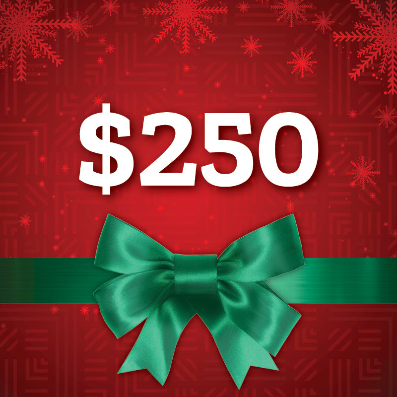$250 - Mentor Training