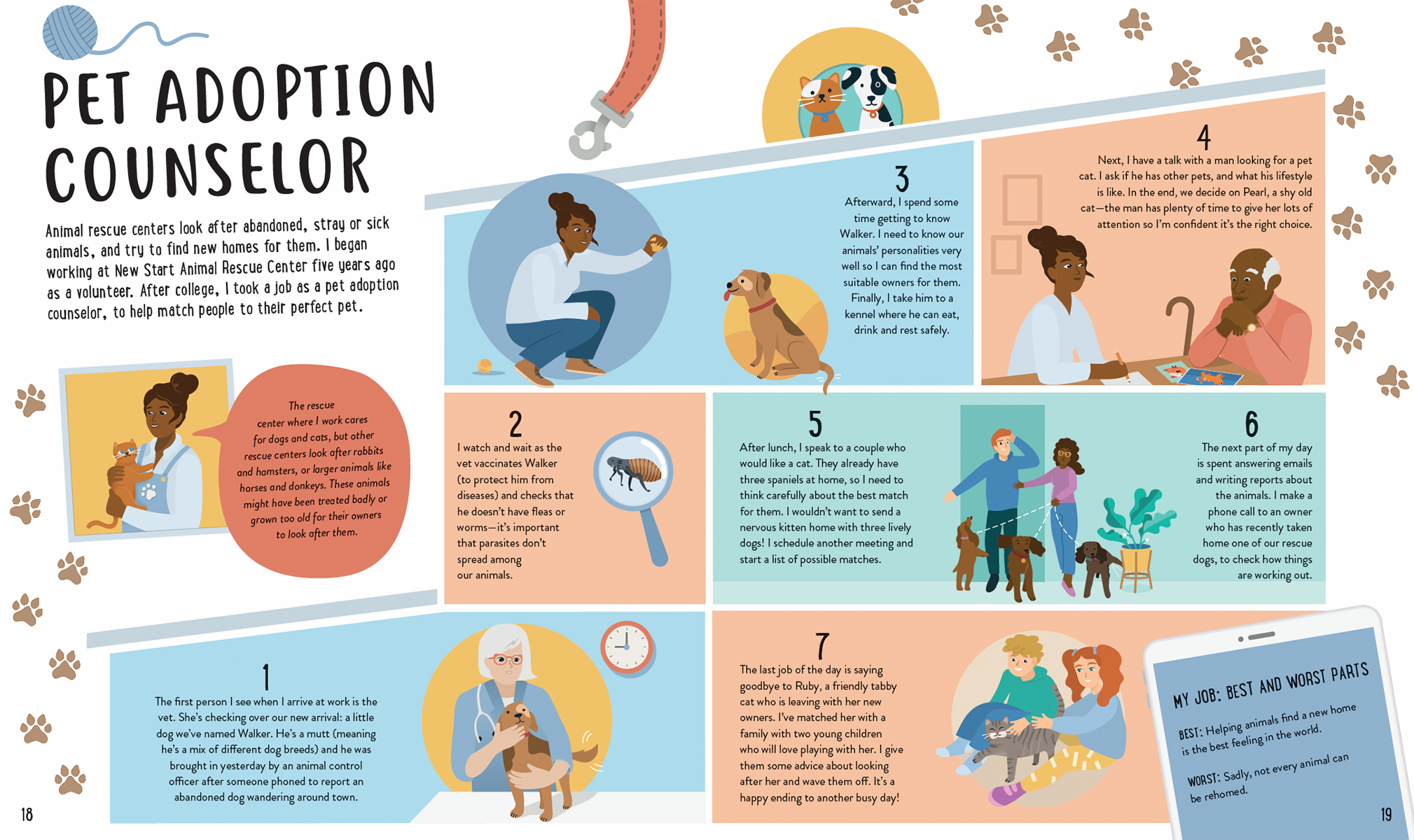 I Like Animals... What Jobs Are There?