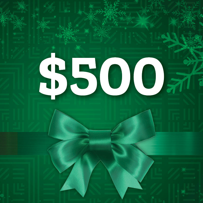 $500 - Program Support